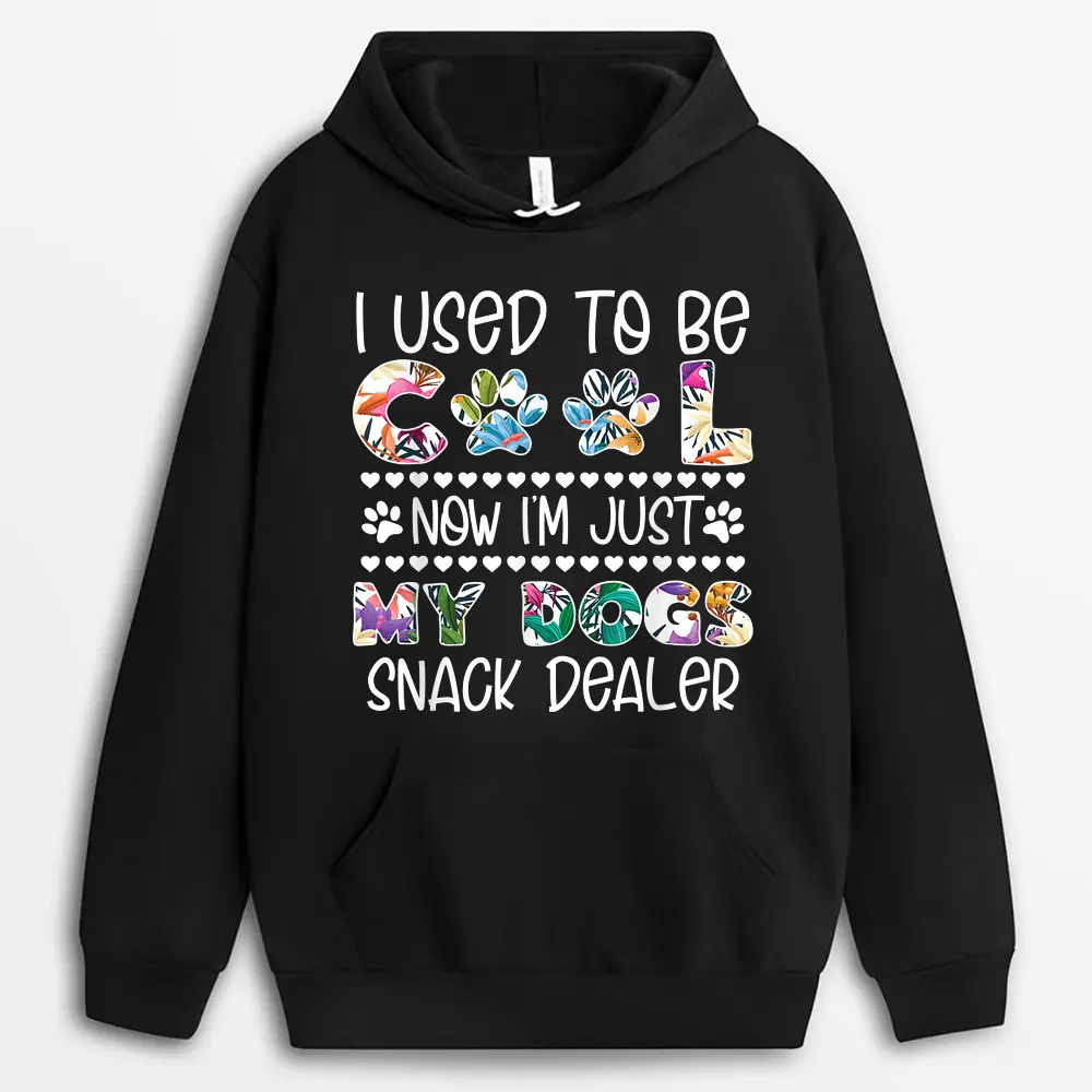 i-used-to-be-so-cool-now-i-am-just-my-dogs-snack-dealer.webp