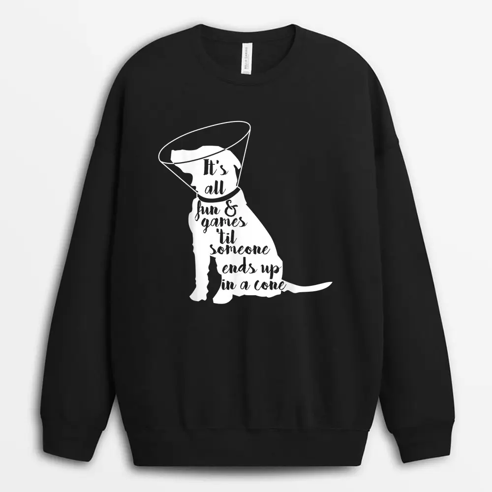 its-all-fun-games-til-someone-ends-up-in-a-cone-dog-1.webp