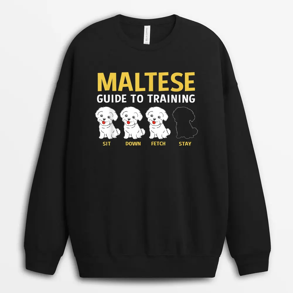 maltese-guide-to-training-funny-dog-trainer.webp